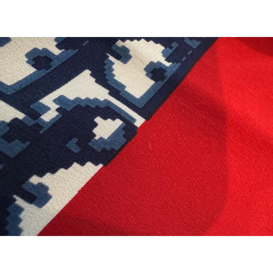 Christian Dior（クリスチャン・ディオール） ディオール トロッター