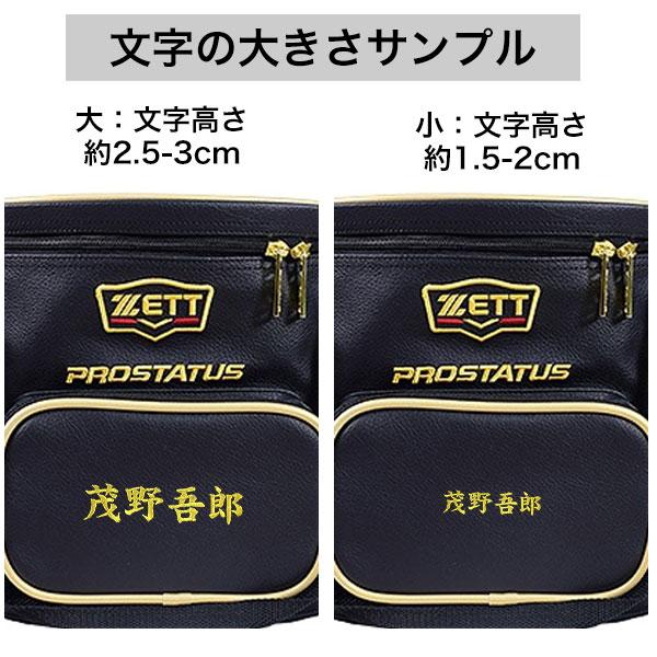 ゼット（ZETT） 野球 ボールケース プロステイタス 硬式・軟式5ダース