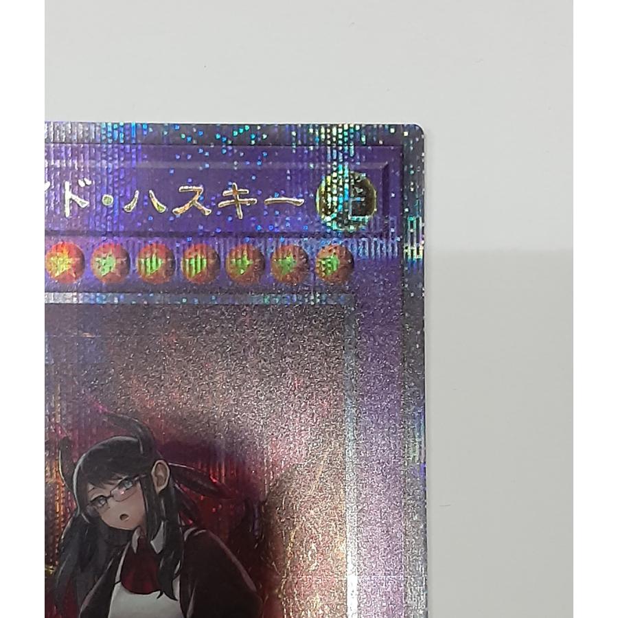 ドラゴンメイド・ハスキー イラスト違い 25th クォーターセンチュリー