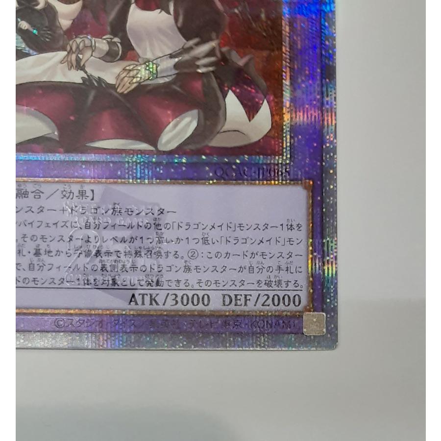 ドラゴンメイド・ハスキー イラスト違い 25th クォーターセンチュリー