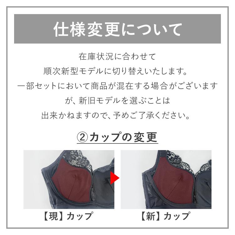 ナイトブラ PGブラ（2枚セット）育乳ブラ 昼夜兼用 夜用ブラ 補正下着