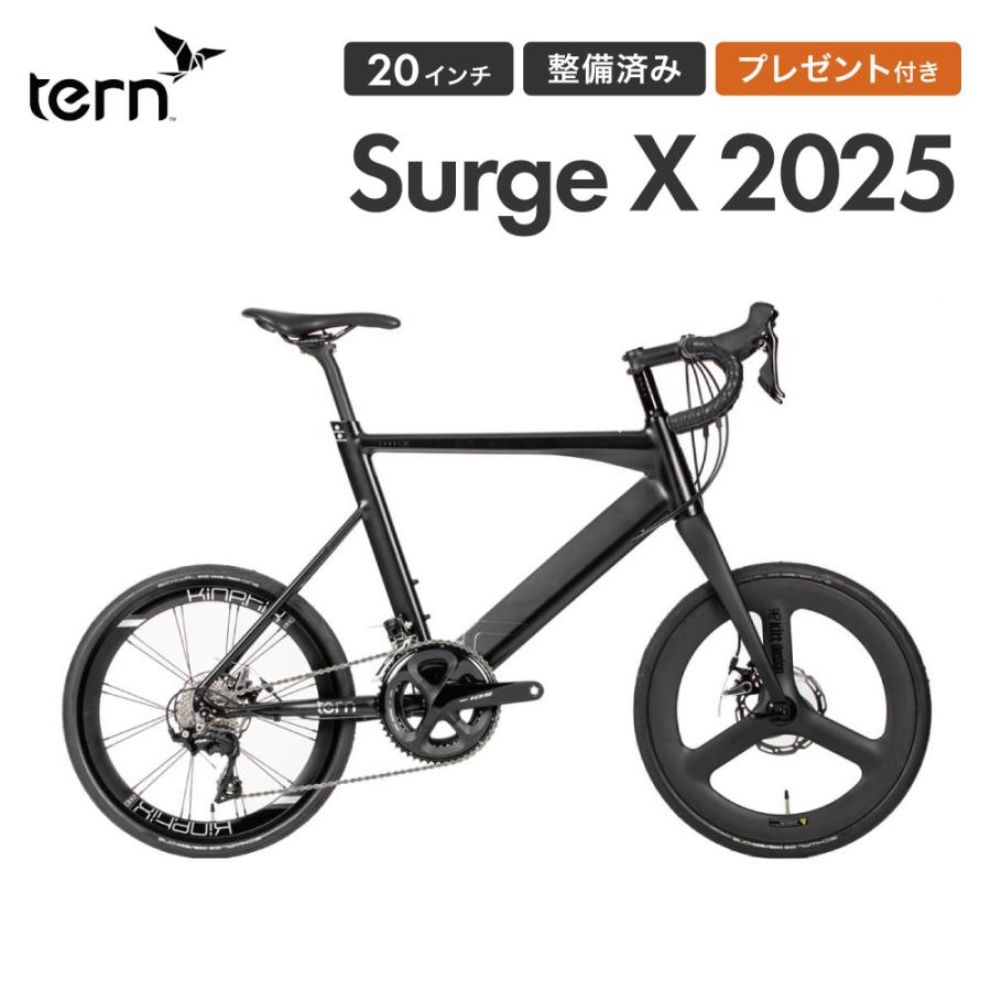 DAHON（ダホン） Tern ターン 自転車 ミニベロ Surge X サージュ カイ