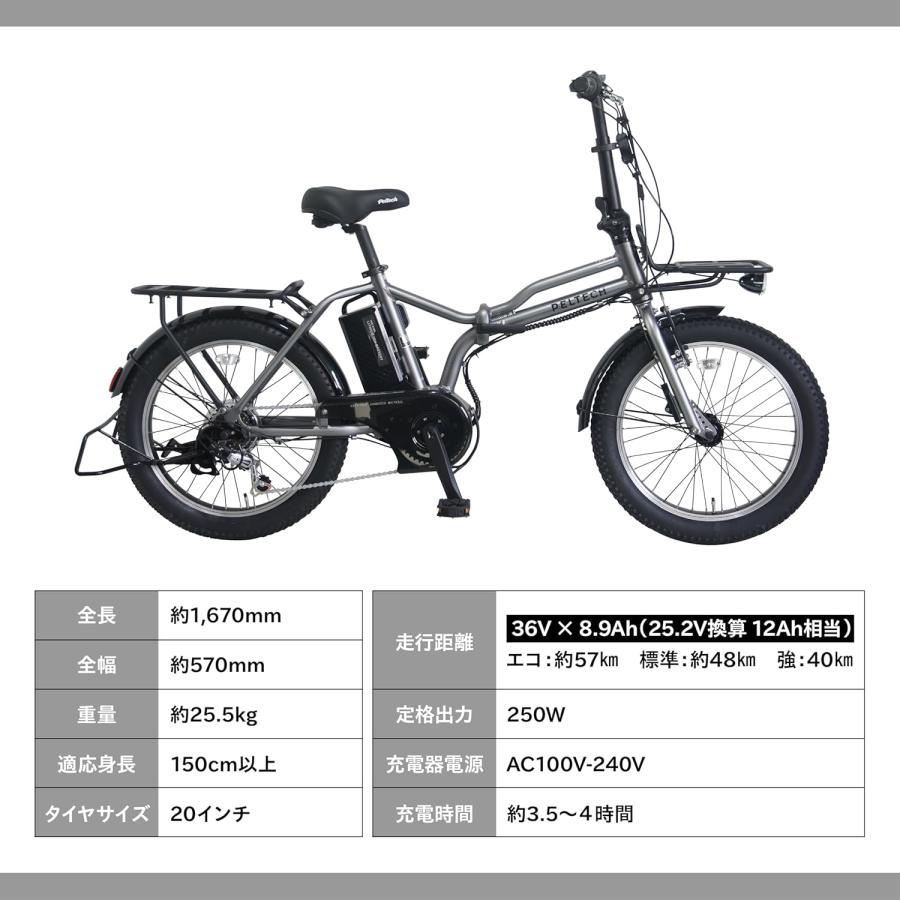 PELTECH（ペルテック） 電動アシスト自転車 20インチ 折りたたみ 電動