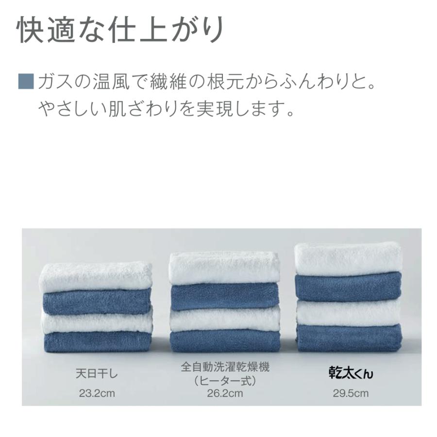 リンナイ（Rinnai） RDTC-54S 業務用ガス衣類乾燥機 乾太くん 5kg