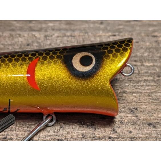 タマタマルアー マーキュリー GBOB（金黒オレンジベリー） : GIZMO