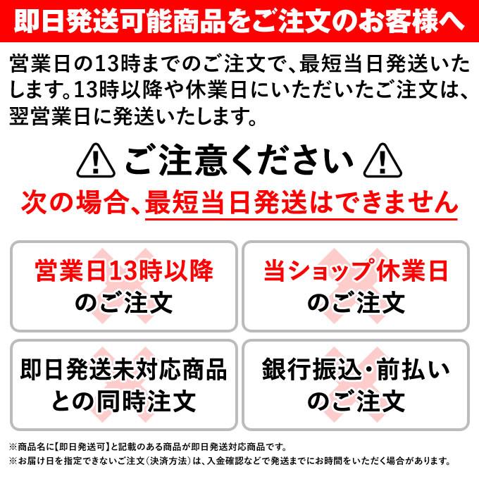 MIZUNO（ミズノ） 【即日発送可】 1GJAB24700F 塁ベース 3枚1組 硬式
