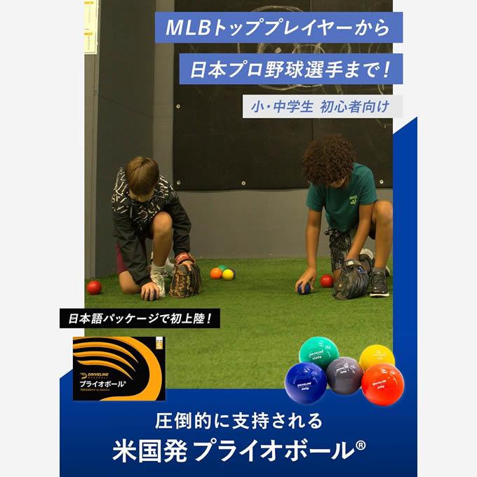 即日発送可】プライオボール 5個セット ドライブラインベースボール