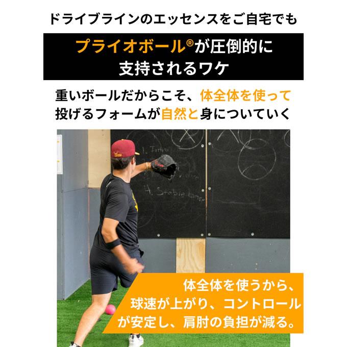 即日発送可】プライオボール 5個セット ドライブラインベースボール