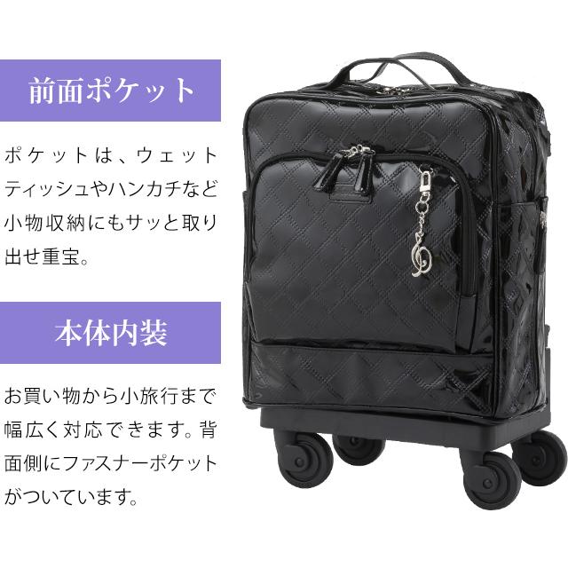 SWANY（スワニー） キャリーバッグ ショッピングカート 横押し