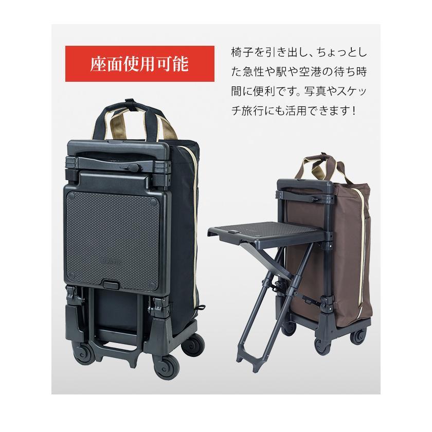 SWANY（スワニー） ショッピングカート キャリーカート キャリーケース