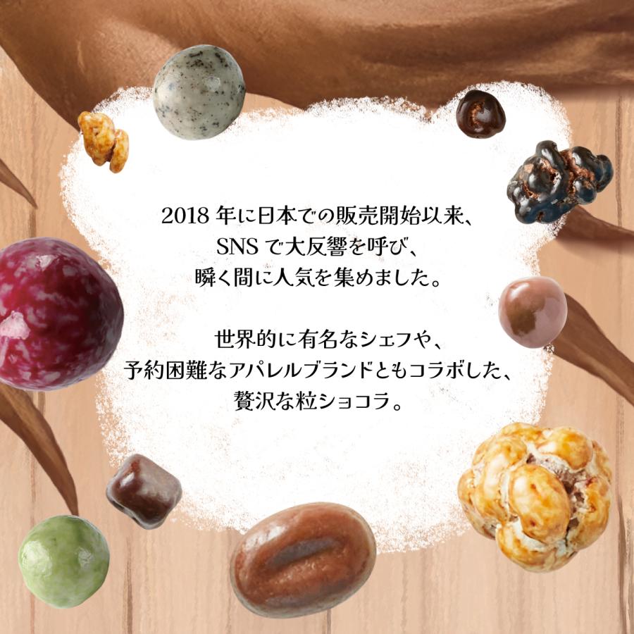 ホワイトデー チョコ 2026 ルシャトー バラエティボックス115g 高級 友