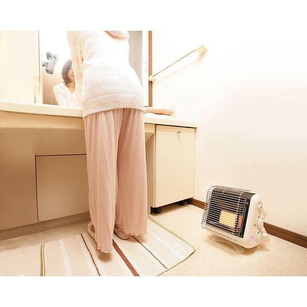 Iwatani（イワタニ） ガスストーブ ストーブ ガスヒーター カセット