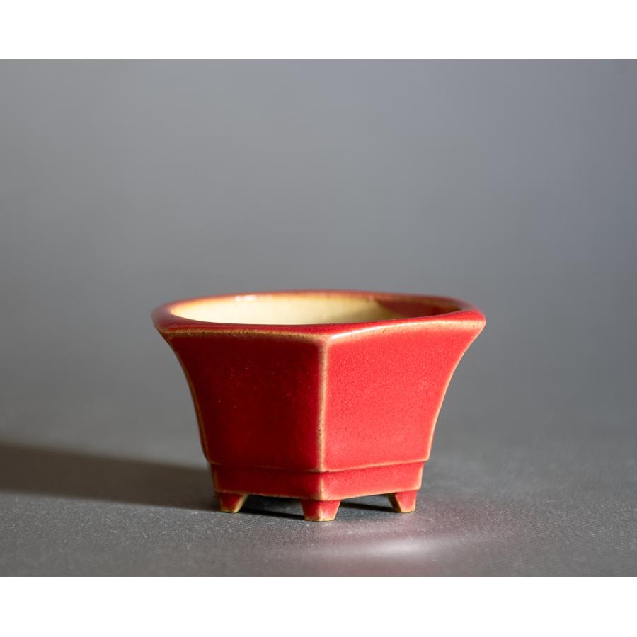 ミニ盆栽鉢 赤釉六角盆栽鉢 小さな盆栽鉢 國井正子盆栽鉢 盆栽鉢作家