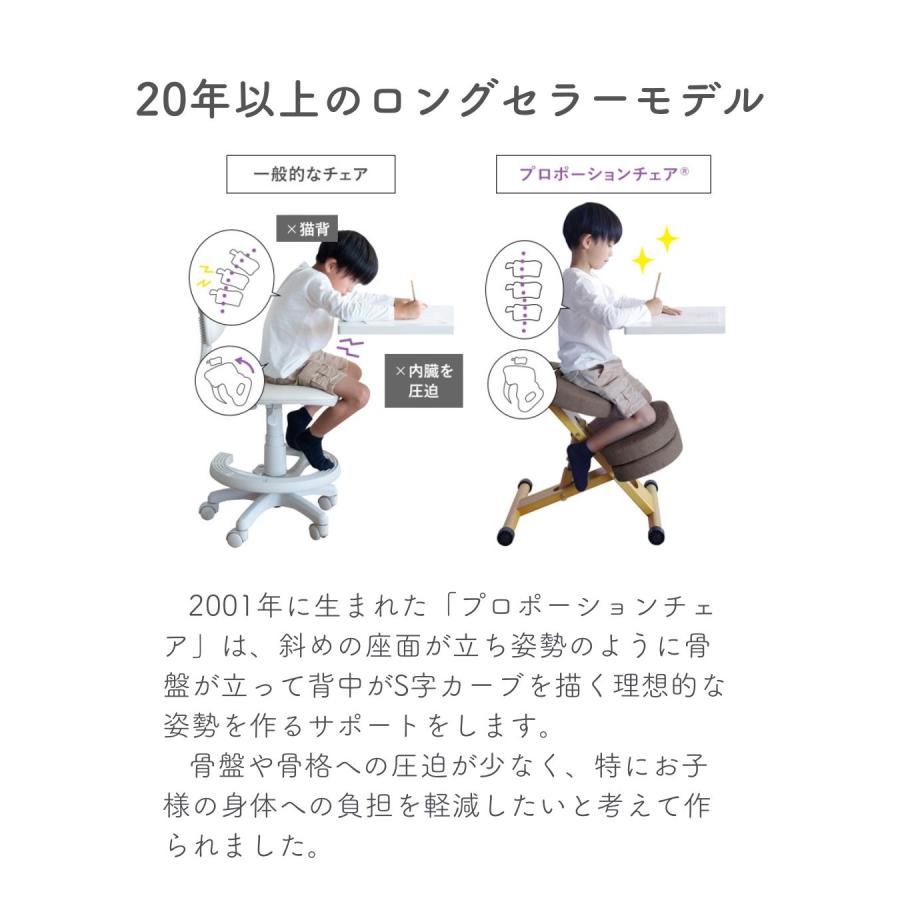 プロポーションチェア カバー&補助クッション付き (身長目安110cm以上