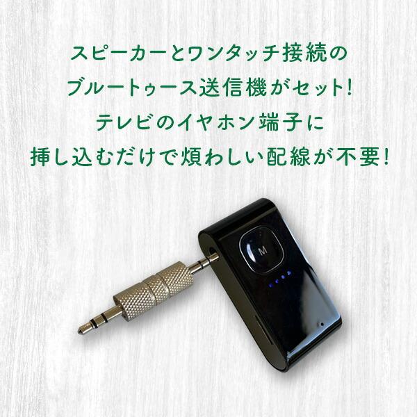 とうしょう 手元スピーカー カラオケマイクセット マイク2本付き