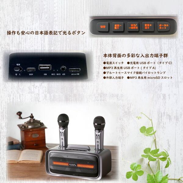 とうしょう 手元スピーカー カラオケマイクセット マイク2本付き