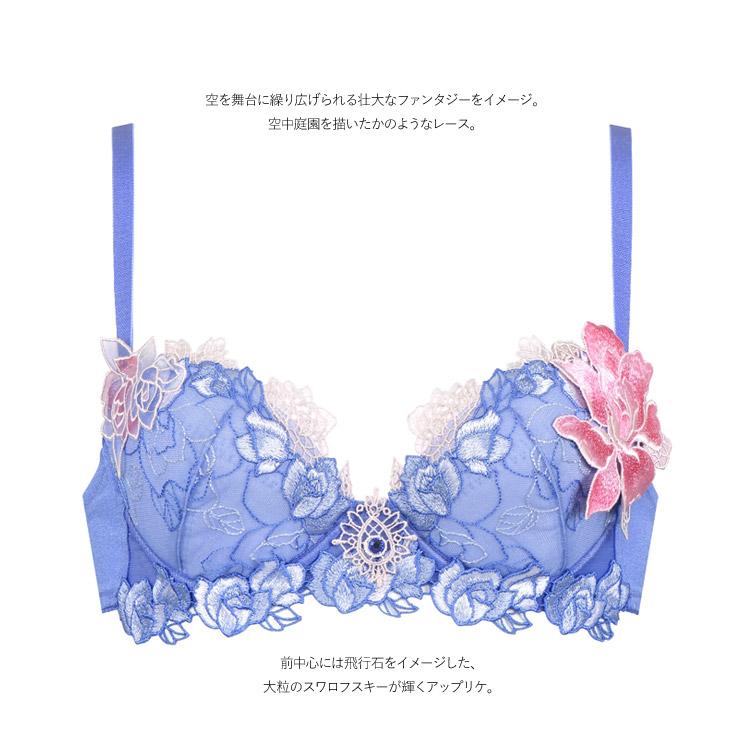 サルート（SALUTE） ワコール 76G P-upタイプ ブラジャー 単品 BTJ476