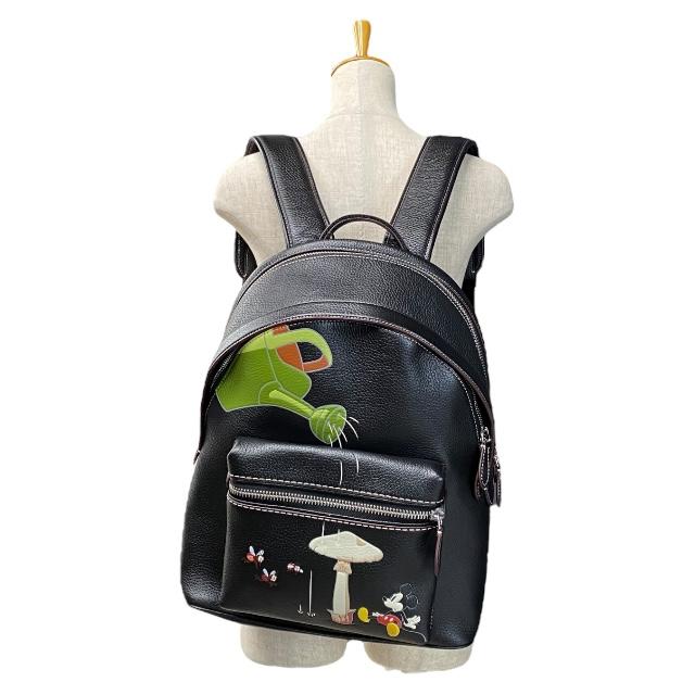 COACH（コーチ） 【限定品】COACH L2280 CG973 ディズニーコラボ