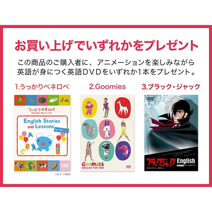 七田式 特典付 七田 ドッツ カード 七田式ドッツセット 正規販売店