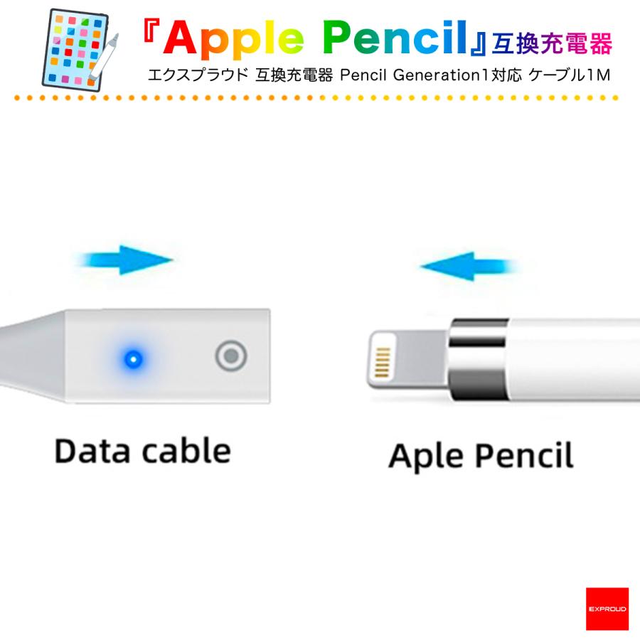 送料無料 Apple Pencil 第1世代 互換充電器 Type-A 最新モデル