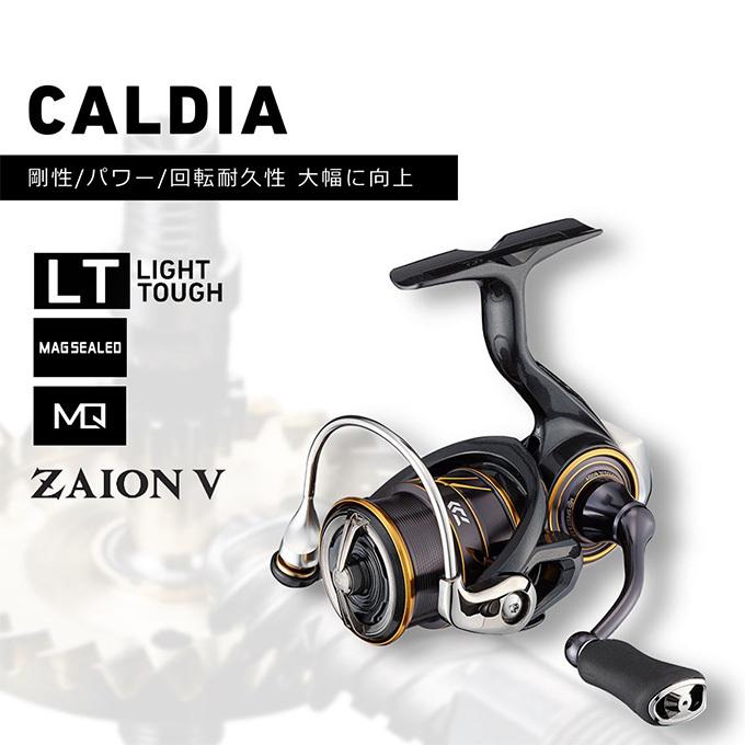 DAIWA（ダイワ） 【目玉商品】ダイワ 21 カルディア LT2500S-XH (2021