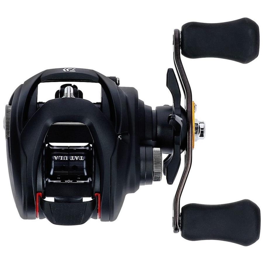 DAIWA（ダイワ） 【目玉商品】ダイワ 19 タトゥーラ TATULA TW 100H 右