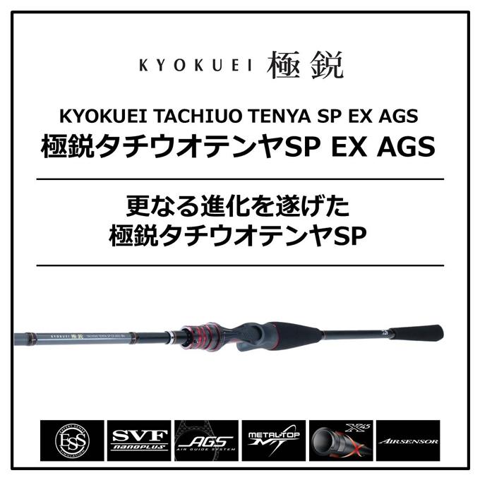 DAIWA（ダイワ） 【目玉商品】ダイワ 極鋭タチウオ テンヤSP EX AGS