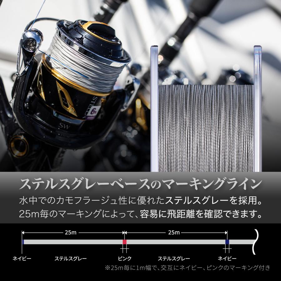 VARIVAS（バリバス） アバニ キャスティングPE SMP 300m 6号 90Lbs