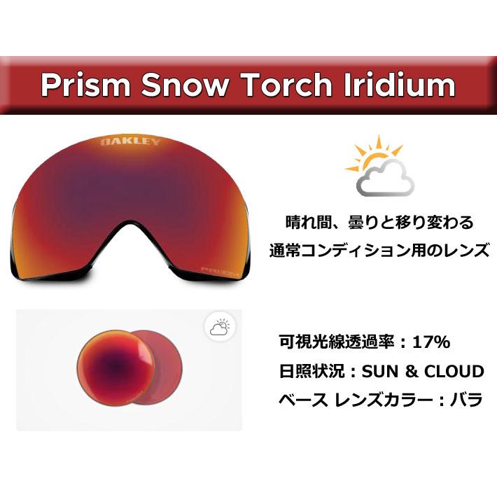 OAKLEY（オークリー） 25-26 ゴーグル FLOW SCAPE L GOGGLE oo7145A-19