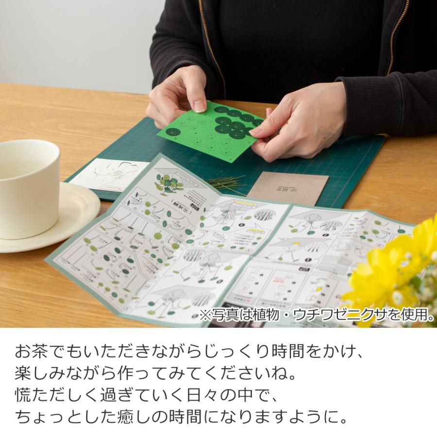 2/27-3/1はポイント10倍／ ペーパークラフトキット 日本の四季 秋の楓