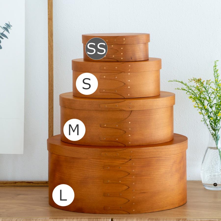 AXCIS（アクシス） ＼2/27-3/1はポイント10倍／ シェーカーボックス SS