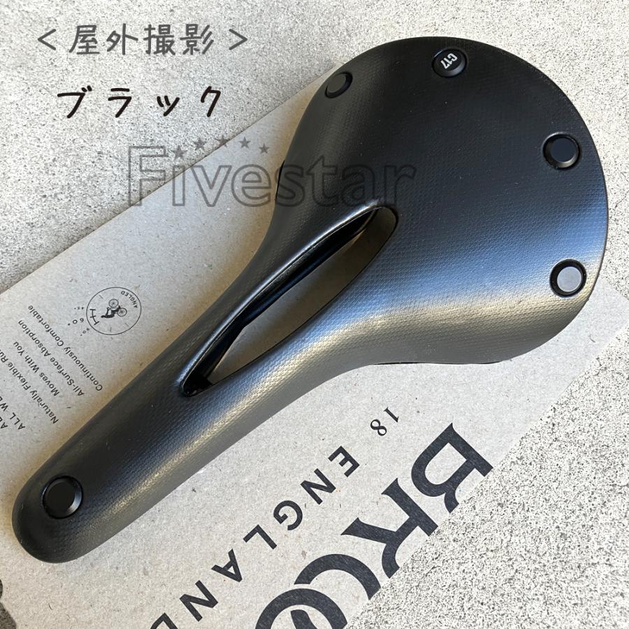ブルックス（BROOKS） Brooks Cambium C17 Carved All Weather Black
