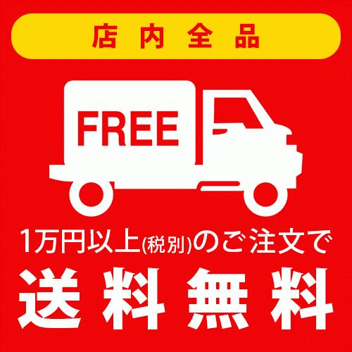 アムウェイ AMWAY アーティストリー ホームエスティシャン クリア 美顔