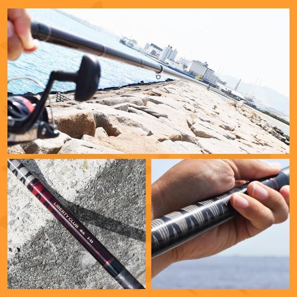 DAIWA（ダイワ） リバティクラブ 磯風 3号-45遠投・K 振出 サビキ ウキ
