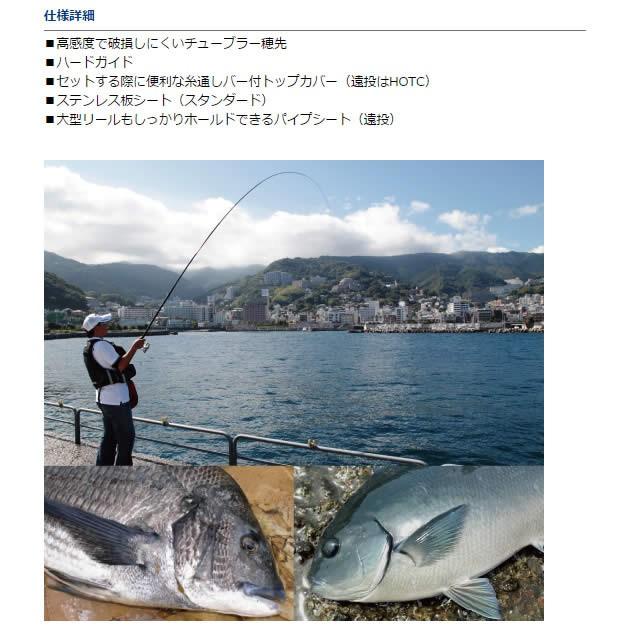 DAIWA（ダイワ） リーガル 3号-45遠投 竿 堤防 防波堤 アジ サバ 青物