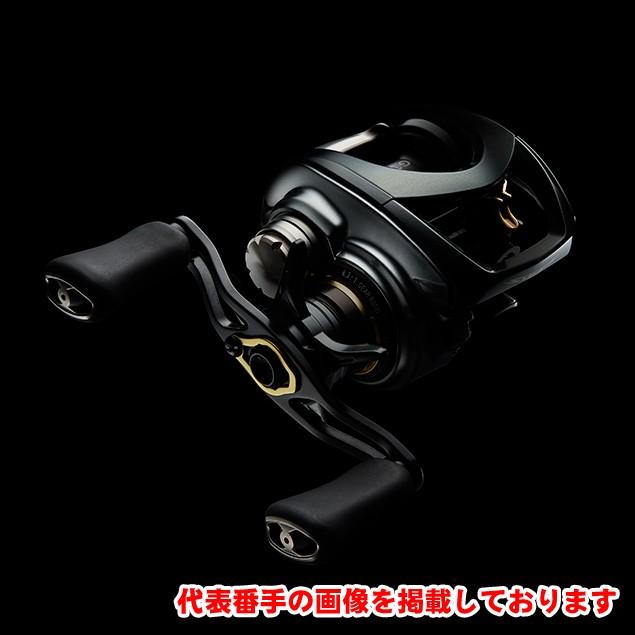 DAIWA（ダイワ） スティーズ CT SV TW 700H 右ハンドル ベイトリール