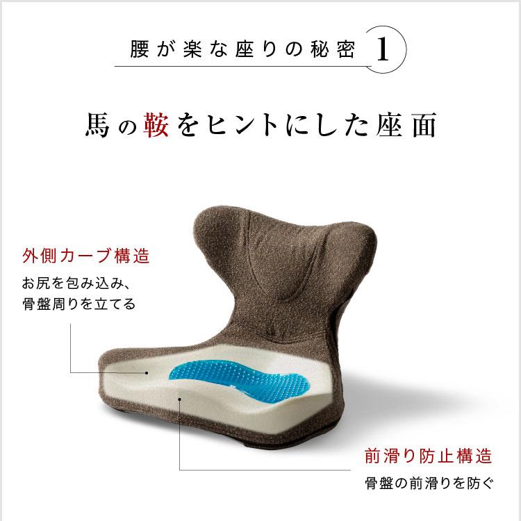 ドリーム 馬具マットプレミアムアドバンス｜プロイデア PROIDEA 腰痛