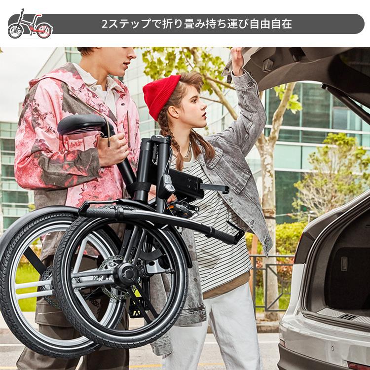 HONBIKE STONE PLUS ホンバイク ストーンプラス NEWバージョン BK-1P