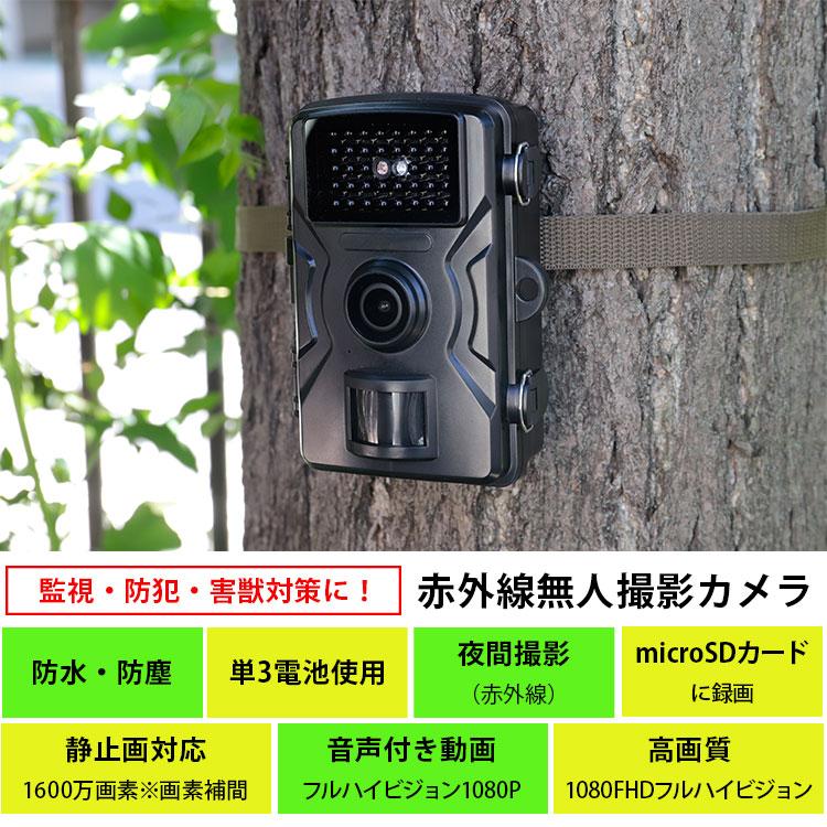 防犯カメラ ファミラ 赤外線無人撮影カメラ 04335 SDカード32GB付き