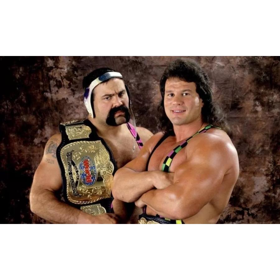 スタイナー・ブラザーズ（リック＆スコット・スタイナー） Tシャツ