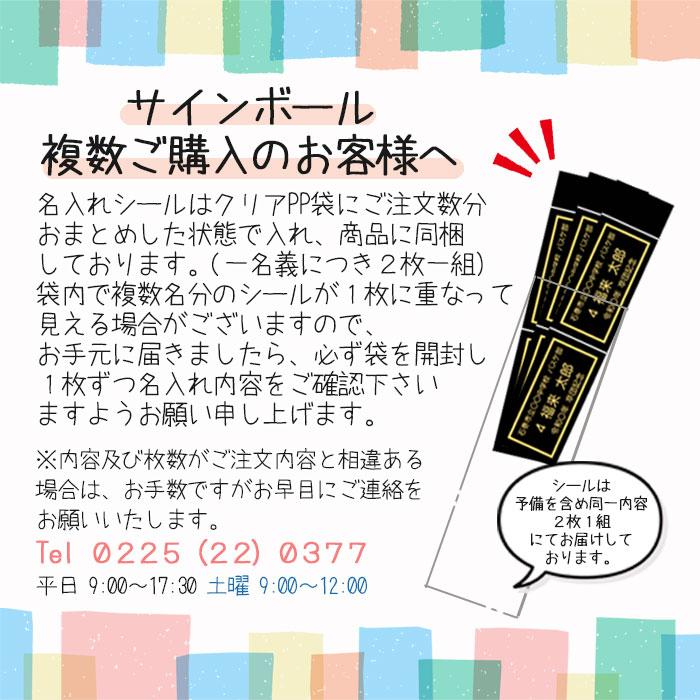 名入れ モルテン 5号球 サッカーボール (白) F5W500 molten 寄書き