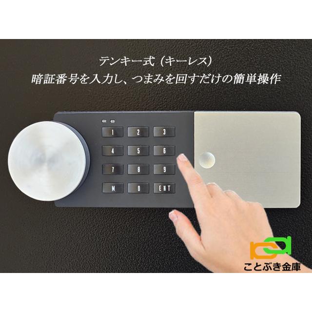 ダイヤセーフ（Diamond Safe） 金庫 小型 家庭用 テンキー式 耐火金庫
