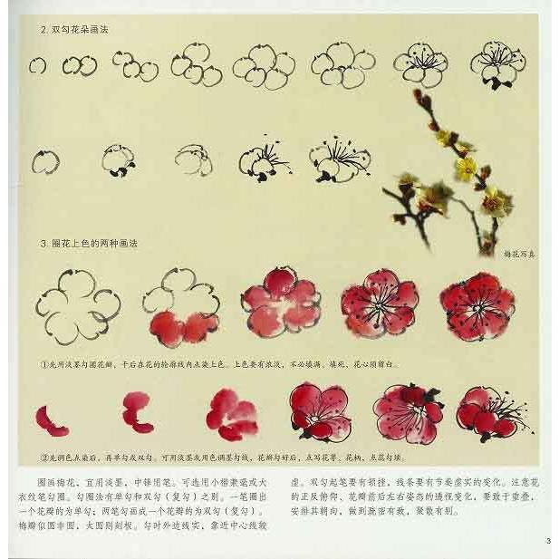 水墨画 / 水墨画集 中国画集 墨彩画 絵手紙 日本画 [梅花] : 黄河文化
