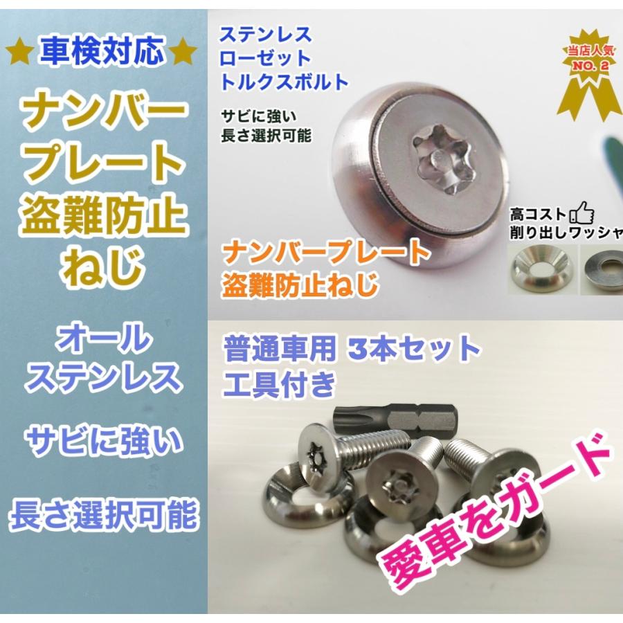盗難防止ネジ 工具付 3本セット ローゼット ステンレス トルクス