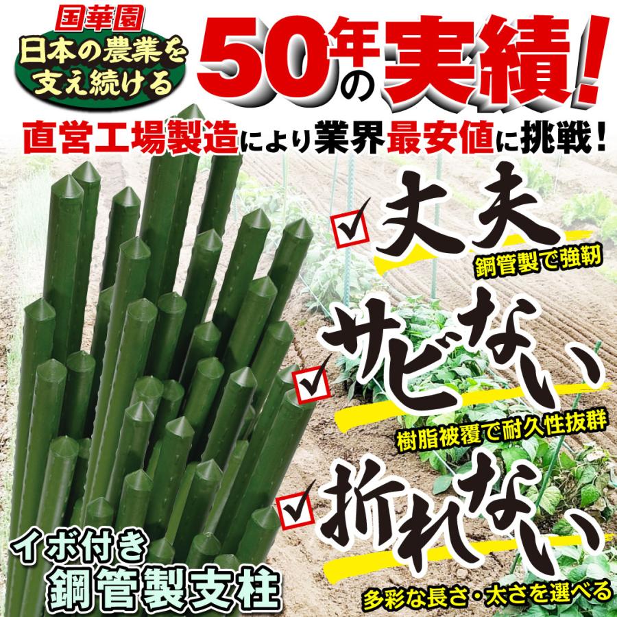 園芸 支柱 Φ11mm×120cm 100本 イボ付き鋼管製 個人宅OK イボ支柱 内