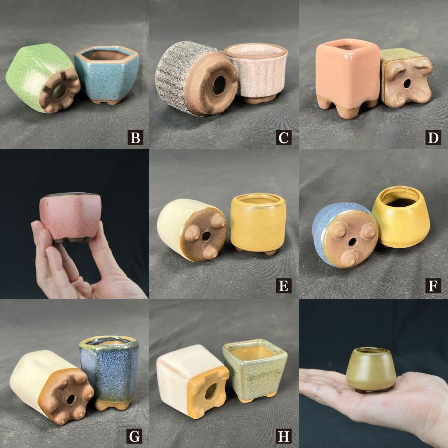 まめ盆栽鉢 匠 7種 （1箱4〜6個入り） ミニ鉢 豆鉢 おしゃれ 陶器 鉢