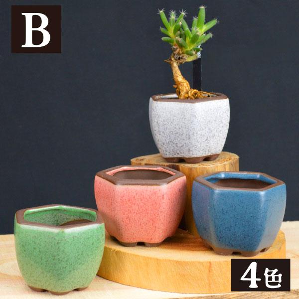 まめ盆栽鉢 匠 7種 （1箱4〜6個入り） ミニ鉢 豆鉢 おしゃれ 陶器 鉢