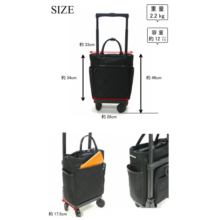 SWANY（スワニー） スワニーキャリーバッグ シティーロ Mサイズ 機内