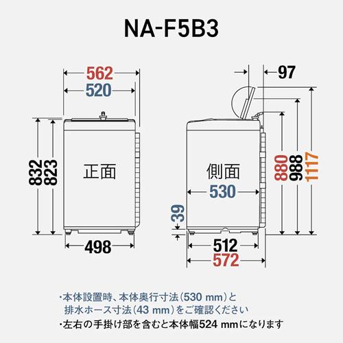 Panasonic（パナソニック） NA-F5B3-H 縦型全自動洗濯機 5.0kg ライト
