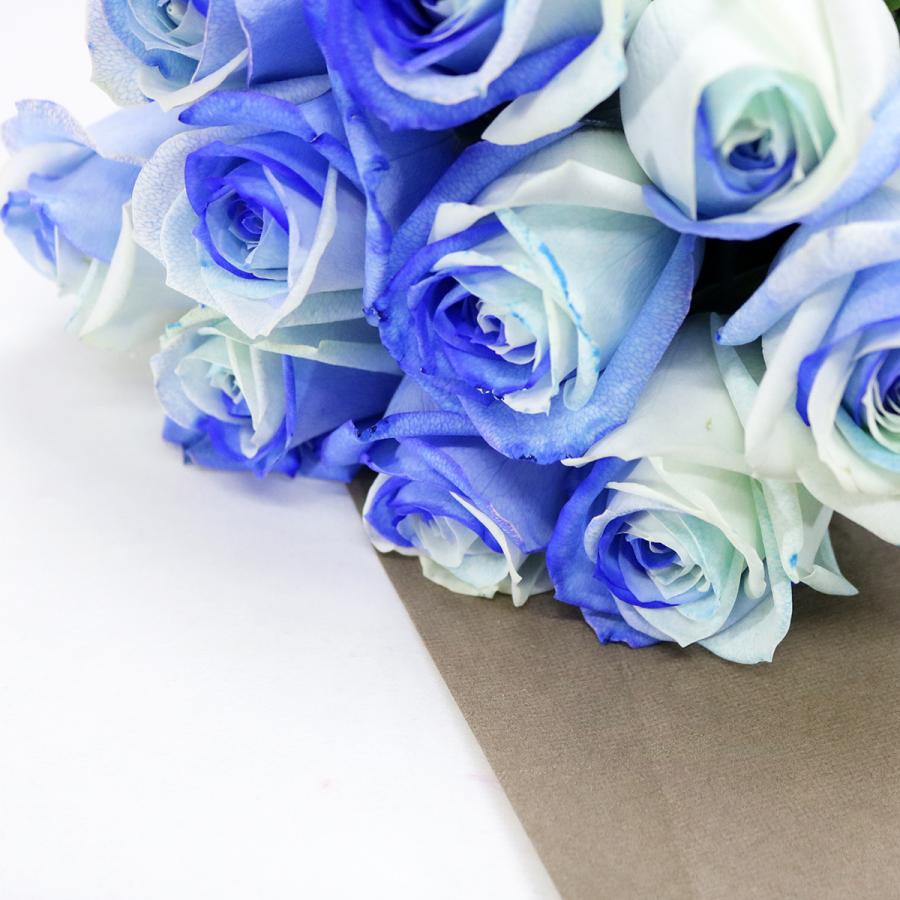 ブルーローズ グラデーション Mサイズ 選べる本数 花束 生花青バラ